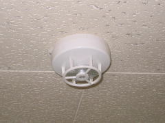 �艷���X�|�b�g�^���m��i�P��h���^�j